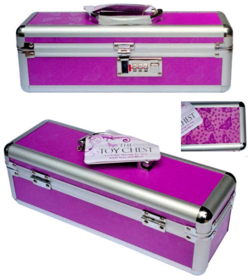 Lockable Vibrator Case Purple